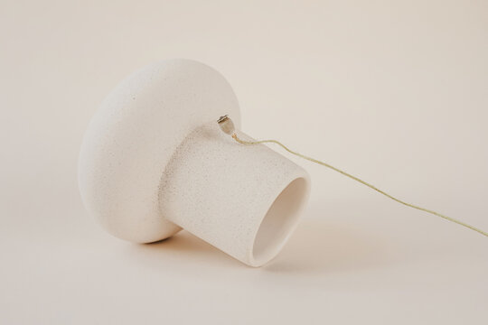 Poppy stem without flower laying on empty inverted vase