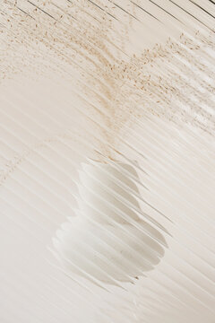 Blurred silhouette of vase with branches behind wavy glass