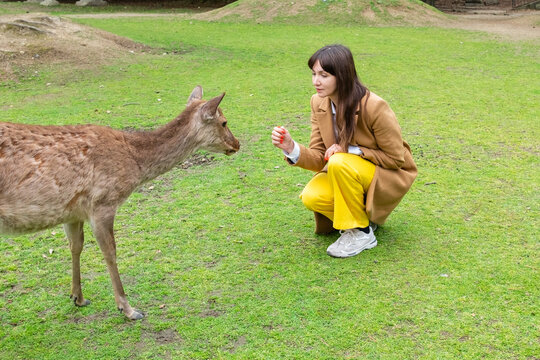 Female tourist petting a deer in Nara, Japan