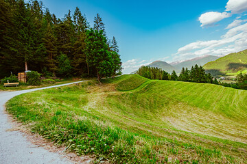 Beautiful Green Mowed Hillside Pasture Field near a Hiking Path