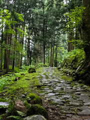 石畳の道　平泉寺　福井県勝山市