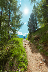 Hikers Standing on the End of a Hiking Trail Up the Mountain