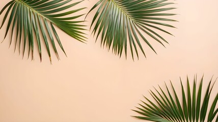 Fototapeta premium Palm leaves, pastel background. Banner, place for text, empty space.