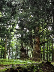 平泉寺　白山神社　福井県勝山市