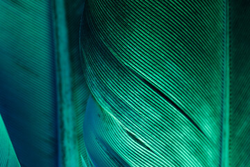 Abstract texture background with green light