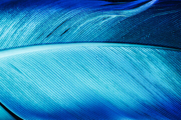 Abstract blue neon texture background