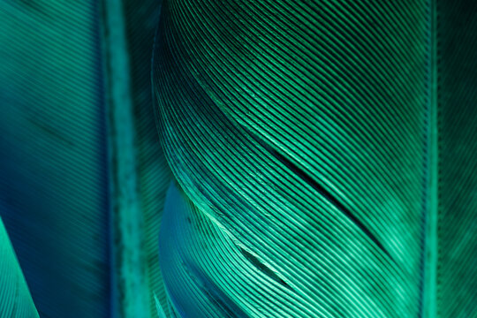 Abstract texture background with green light