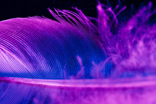 Abstract psychedelic purple background
