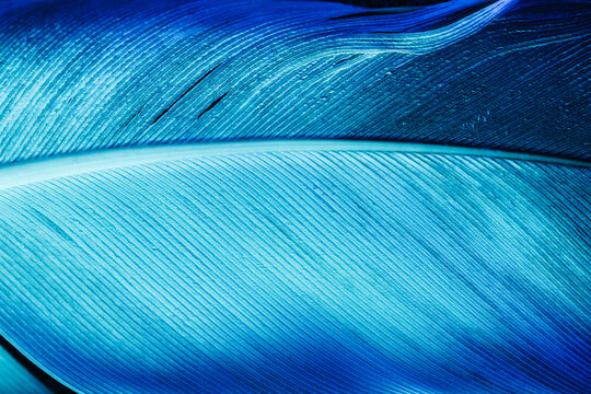 Abstract blue neon texture background