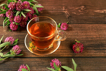 Medicinal herbal tea or infusion of red clover in a glass cup with flowers, alternative traditional medicine concept, estrogen source, menopause remedy, advertising for green pharmacy,