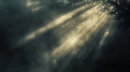 Enchanting Sunbeams: Mystical Forest Shrouded in Fog