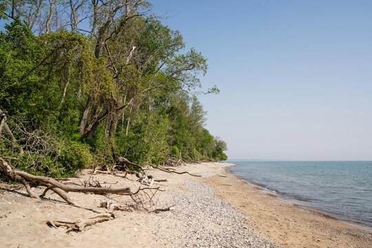 Lake Michigan Shoreline