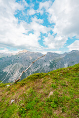 Fototapeta premium Wooden Branch Facing Up in a Mountain Landscape