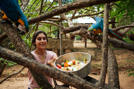 Volunteer working at an animal rescue center