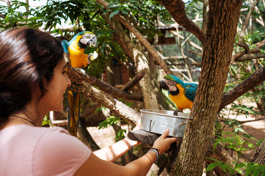 Volunteer working at an animal rescue center