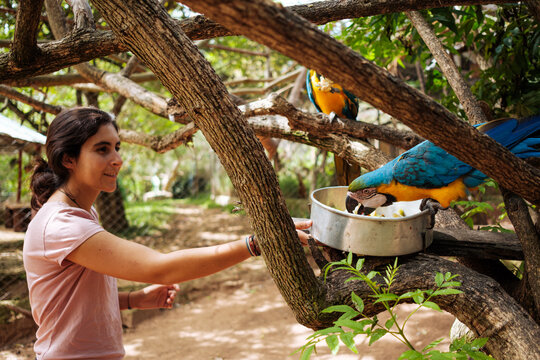 Volunteer working at an animal rescue center