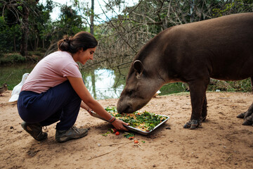 Volunteer working at an animal rescue center