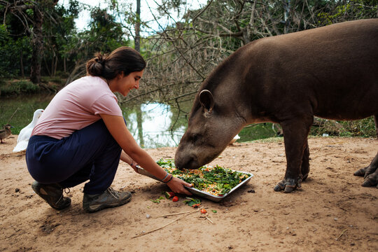 Volunteer working at an animal rescue center
