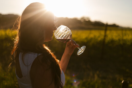 Sunset Napa wine tasting