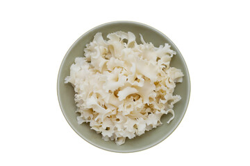 Cauliflower mushroom or cauliflower fungus