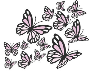 Fototapeta premium flat flock butterfly pink