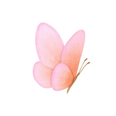 Beautiful butterfly of pink, coral, peach fuzz, orange, delicate colors isolated on white background. Hand drawn watercolor illustration. For design, cards, invitations, congratulations, packaging