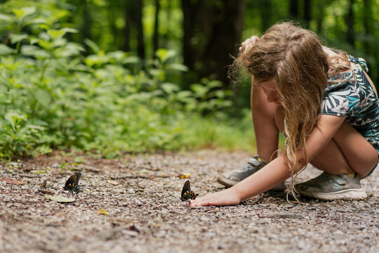Curiosity in Nature