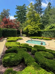 Obraz premium garden in the park