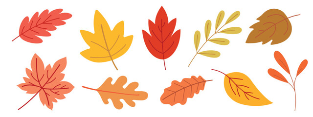 Set of autumn leaves on a white background.