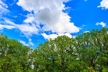 Obraz premium The sky is blue and cloudy, background