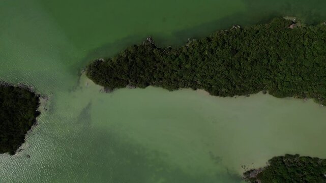 laguna de oviedo