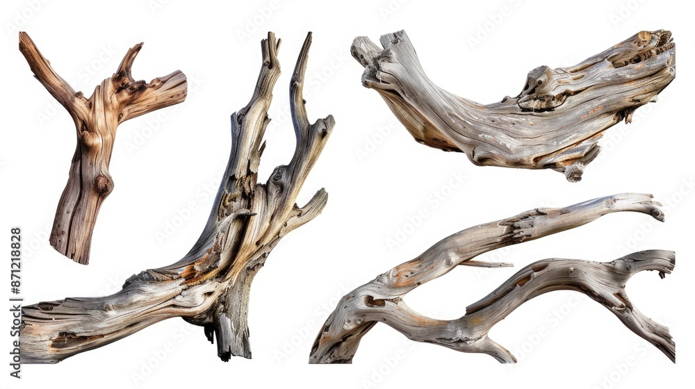 Poster A collection of driftwood pieces arranged on a clean white surface, perfect for use in design projects or as a decorative element