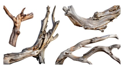 Fototapeta premium A collection of driftwood pieces arranged on a clean white surface, perfect for use in design projects or as a decorative element