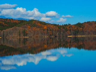 紅葉した青木湖　リフレクション　長野県大町市