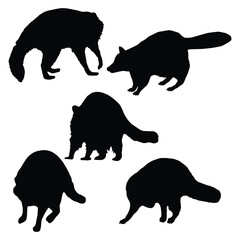 Raccoon Silhouette Vector Illustration Set