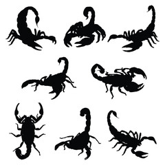 Set of Scorpion Silhouette Vector Illustration