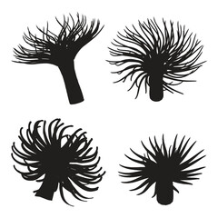 Sea Anemone Vector Silhouette Bundle