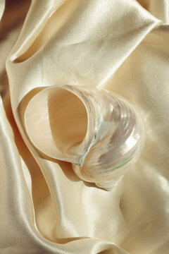 An elegant shell on a silk background, illuminated by warm light
