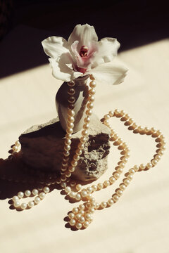 An elegant composition with a white orchid flower in a small white vas