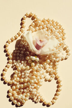a pearl necklace gracefully encircling a delicate orchid flower