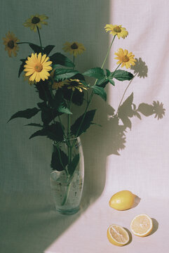 Flowers in vase and lemons