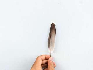 A Bird feather in hand, outstretched hand with bird feather isolated from white background, stock photo.