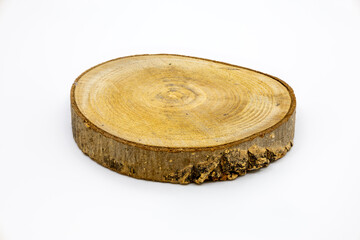 Wooden Tree Slice on White Background