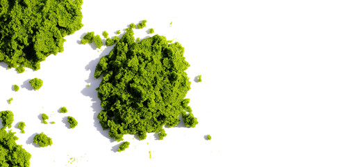 Wolffia globosa or swamp algae, water meal
