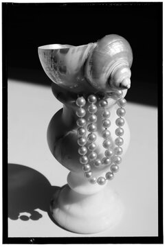 An art photograph in black and white