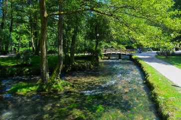 Tranquil Forest Stream with Wooden Bridge and Walkway