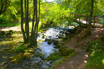 Obraz premium Forest Stream Cascading Over Rocks with Wooden Bridge