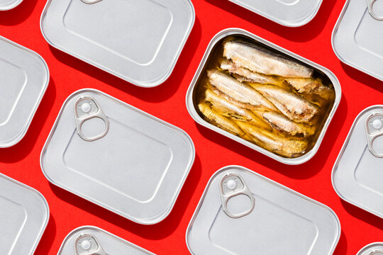 Canned sardines among rectangular tins flat lay on red background