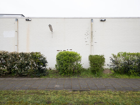 wall and hedge