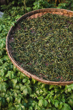 Drying tea leaves